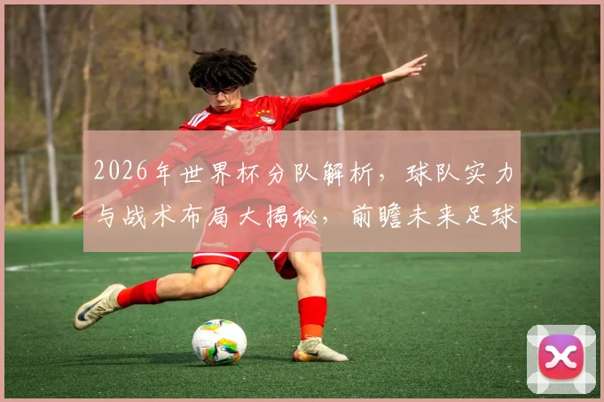 2026年世界杯分队解析，球队实力与战术布局大揭秘，前瞻未来足球盛宴
