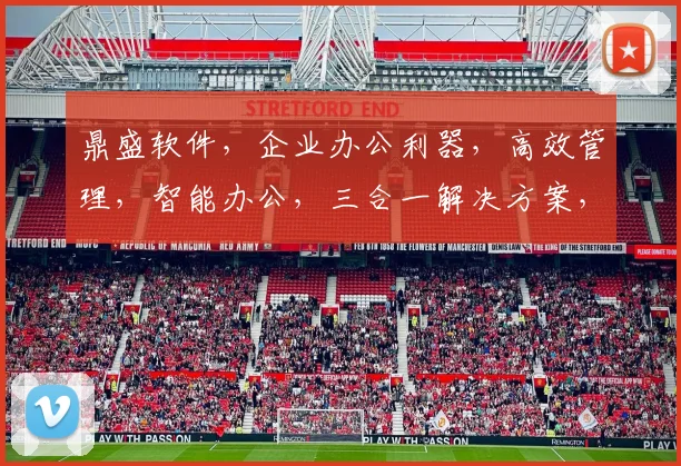 鼎盛软件，企业办公利器，高效管理，智能办公，三合一解决方案，助力企业腾飞